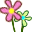 (鲜花)